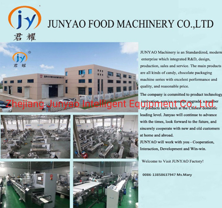 Pillow Fully Automatic Package Machine Chocolate Wrapping Machine