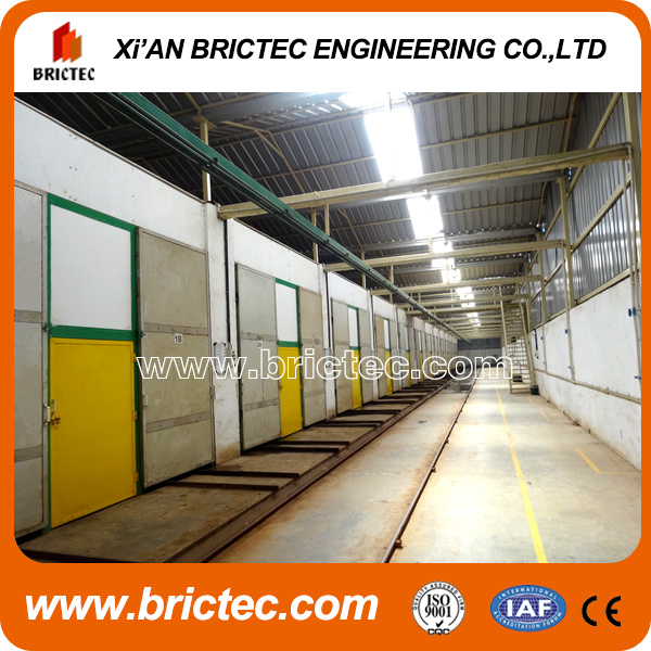 Professional Design for Brick Drying Chamber and Automatic Brick Plant