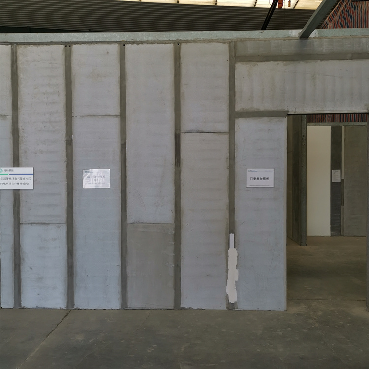 Durable Lightweight Rigid Insulated Foam Concrete Residential Partition Wall Panels Blocks Cement Board Cost