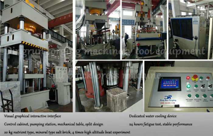 Hydraulic Press 500 Ton Salt Block Press Machine