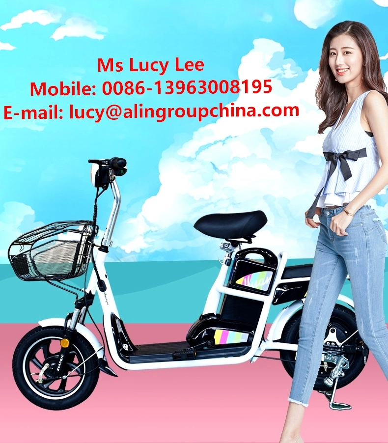 500W 48V China Al-Xk Electric Tricycle for Seniors