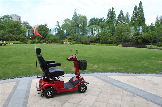 Disable Electric Scooter with Chair 800W