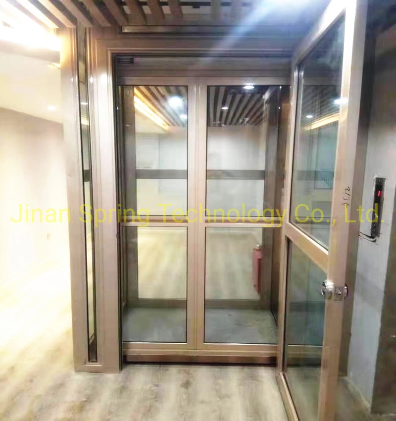 Home Elevator/Disable Lift/Electric Hydraulic Home Elevator/Passenger Lift