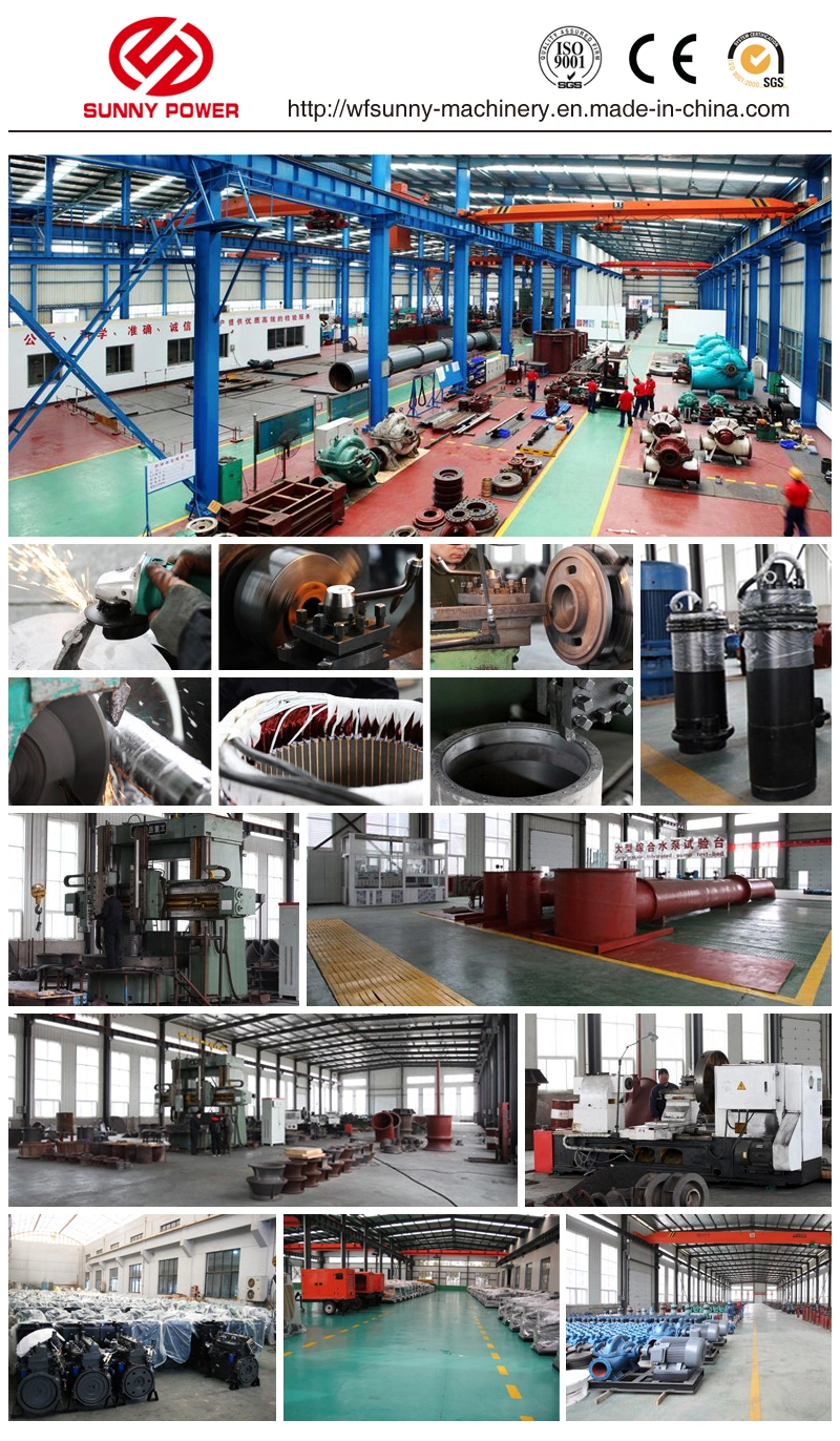 Vacuum Assist Self-Priming Diesel Water Pump with 9.5m Suction Lift