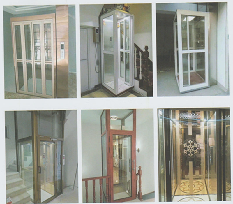 Home Elevator/Disable Lift/Electric Hydraulic Home Elevator/Passenger Lift