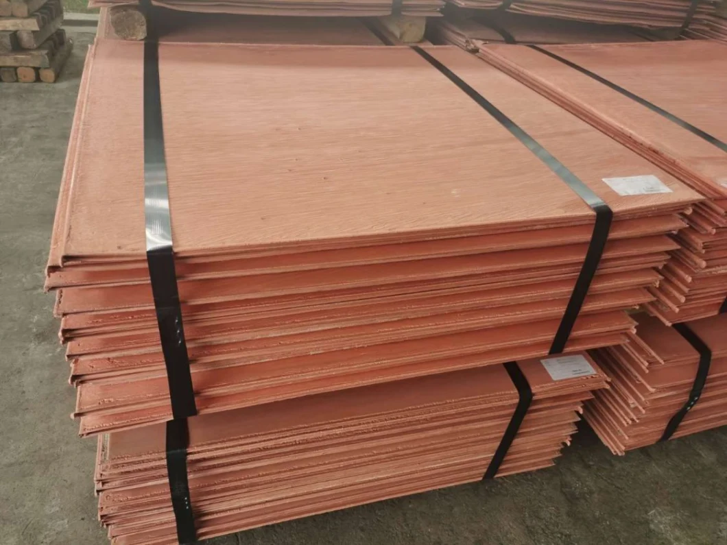 Copper Cathode/ Copper Plate/ Electrolytic Copper/ Metal Copper/ Cu with The Best Price