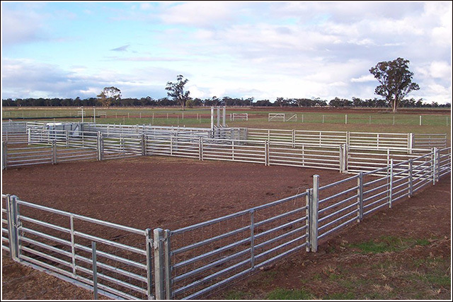 Australia Oval Rail 1m*2.8m Steel Metal Sheep Yards