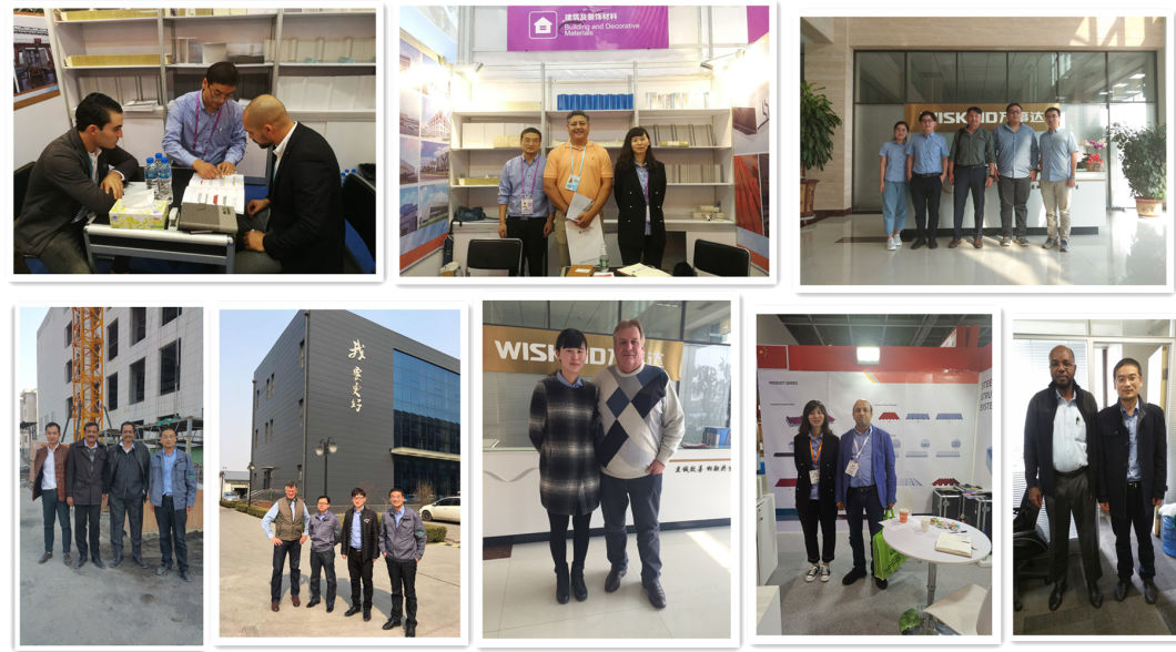 Wiskind Building Composite Panel EPS Foam Polystyrene Sandwich Panel Best Price for Wall and Roof