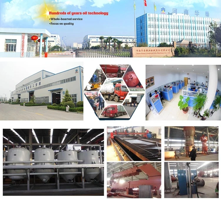 China Huatai Brand Tea Seeds Oil Production Line/Oil Processing Machine with First-Class Process