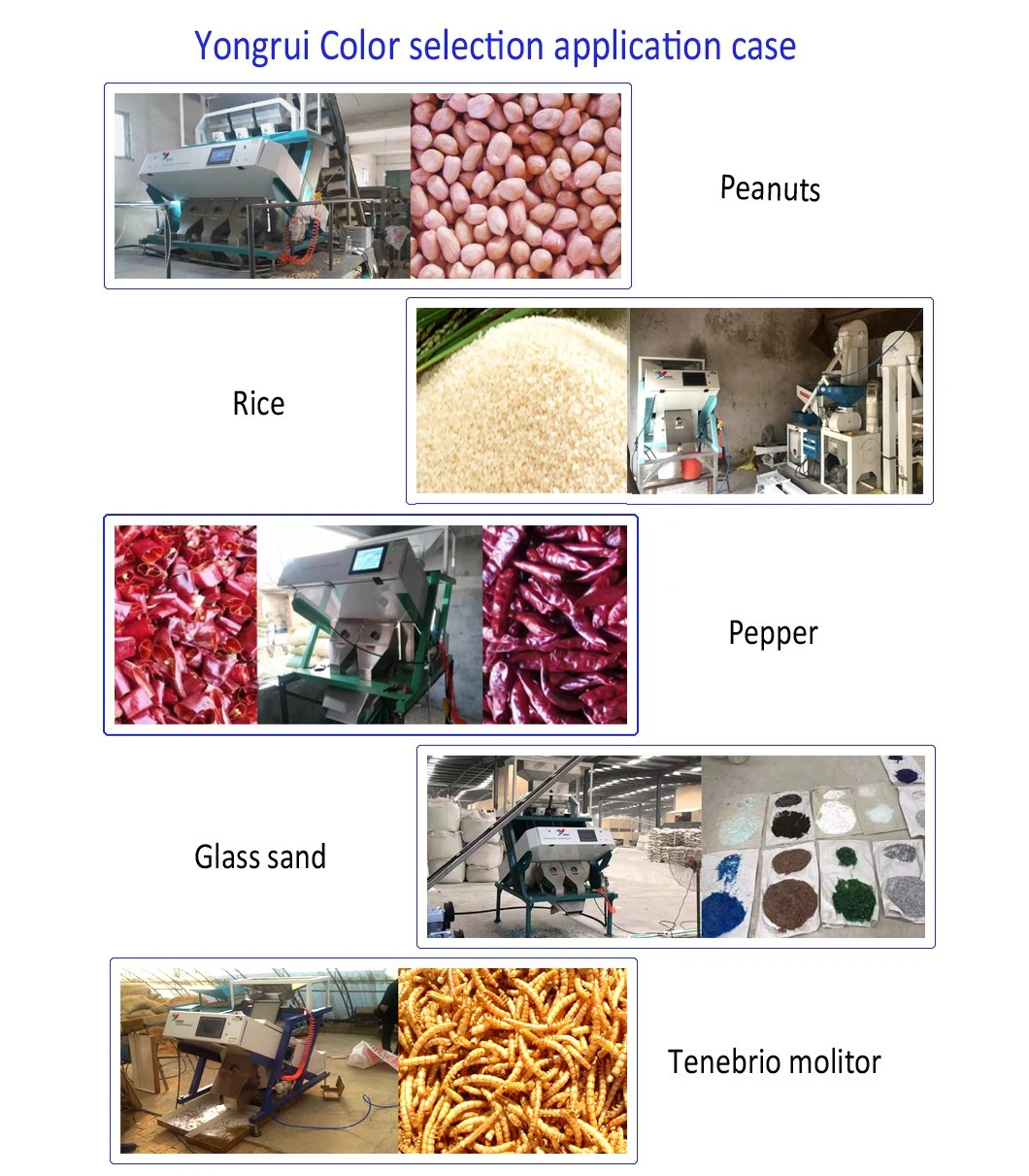 Factory Price Tea Color Sorting Tea Clean Processing Machine