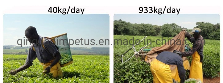 China High Quality Two-Man Tea Leaf Harvester