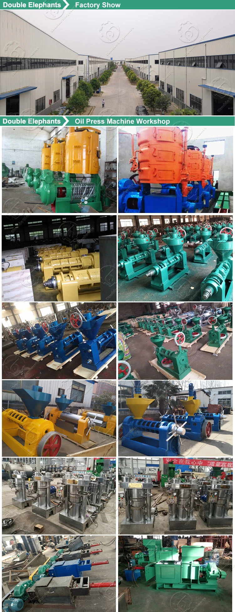 Tea Seeds Corn Germ Soybean Cooking Oil Press Processing Manufacturing Machine