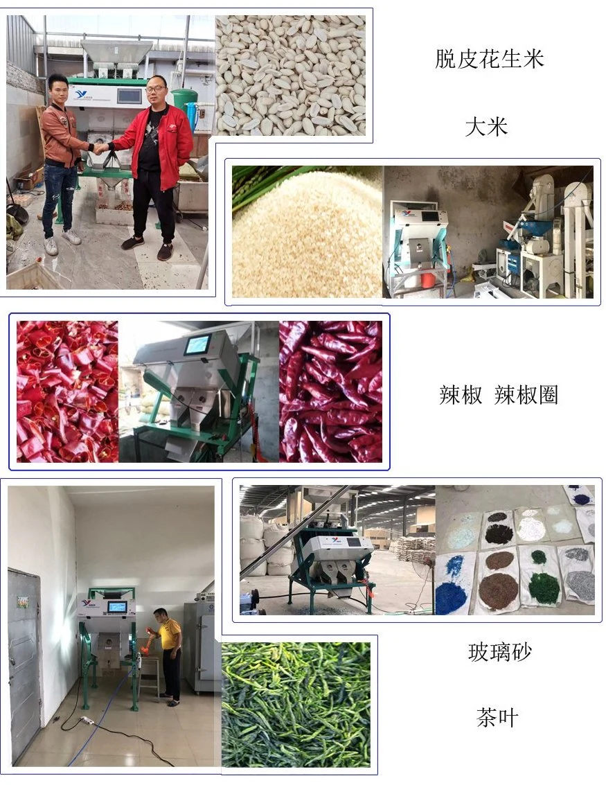 Intelligent and High Yield Jiangsu Biluochun Tea Color Selection Machine Tea Color Sorter