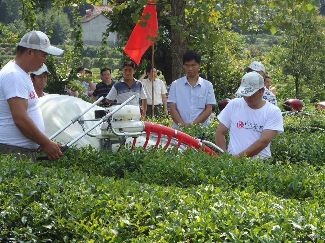 Flat 1000mm Blade Mini Tea Harvester Famous in Sri Lanka Tea Harvesting Machine Kawasaki Sv100