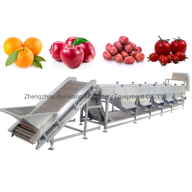 Orange Fruit Sorting Line/Onion Grading Machine Size Sorting Machine/Sorting Equipment