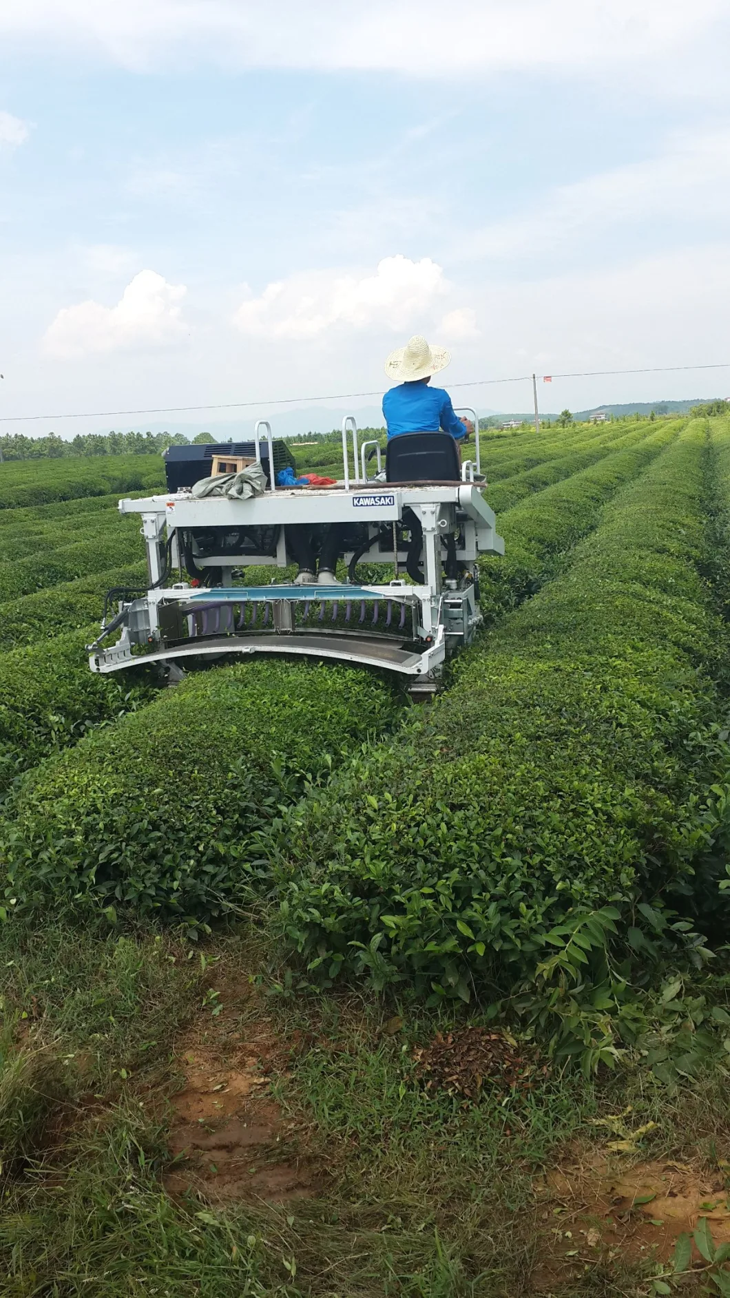 Kawasaki Riding Type Tea Plucking-Trimming Machine Tea Harvesting Machine Kj4n
