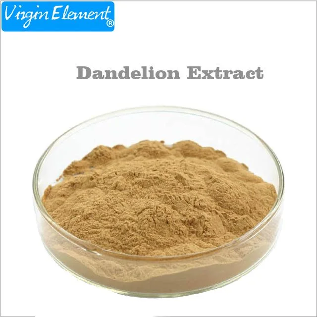 Organic Roasted Dandelion Root Tea Extract Powder
