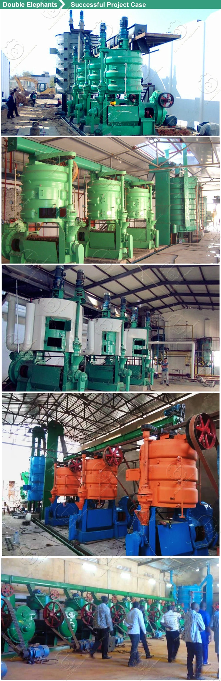 Tea Seeds Corn Germ Soybean Cooking Oil Press Processing Manufacturing Machine