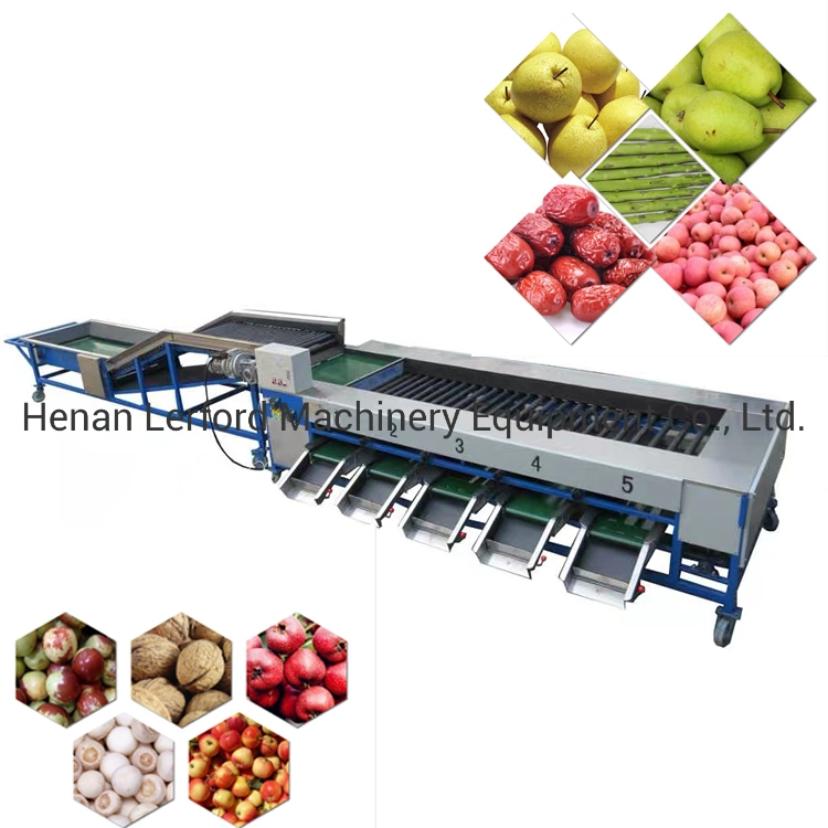 Hot Products Fruit Sorting Vegetable Sorter Date Processing Machine