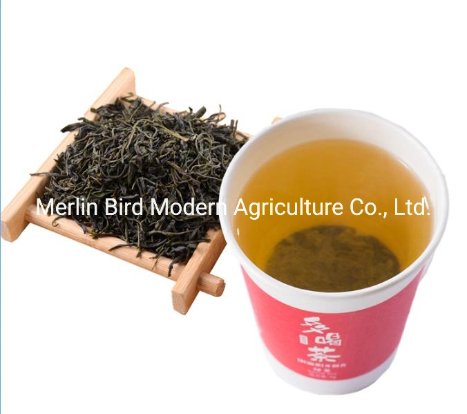 Merlin Bird Brand Instant Creative Cup Tea in Green Tea Black Tea Oolong Tea Flavors