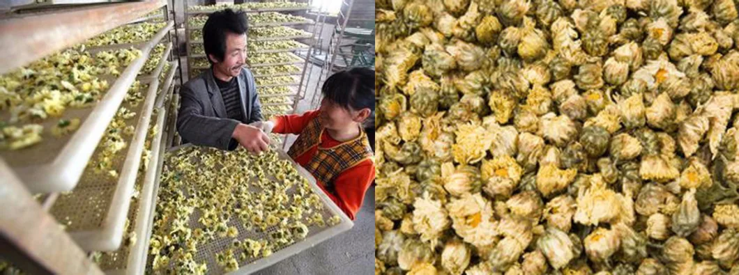 Agricultural Wolfberry and Tea Leaves Dryer Machine /Drying Equipment /Dehydrator