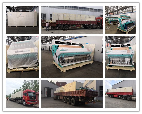New Design Automatic Green Tea/Black Tea Sorting Machine Tea Color Sorter Machine