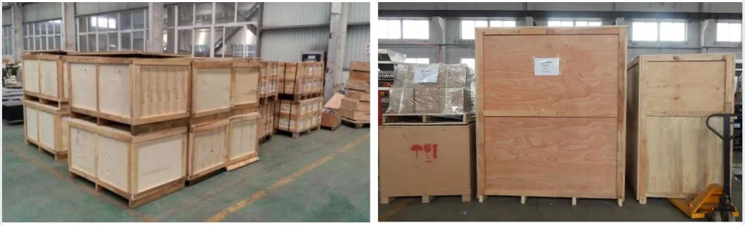 Chinese Factory Supply Tea Bag Packing Machine Powder Packing Machine