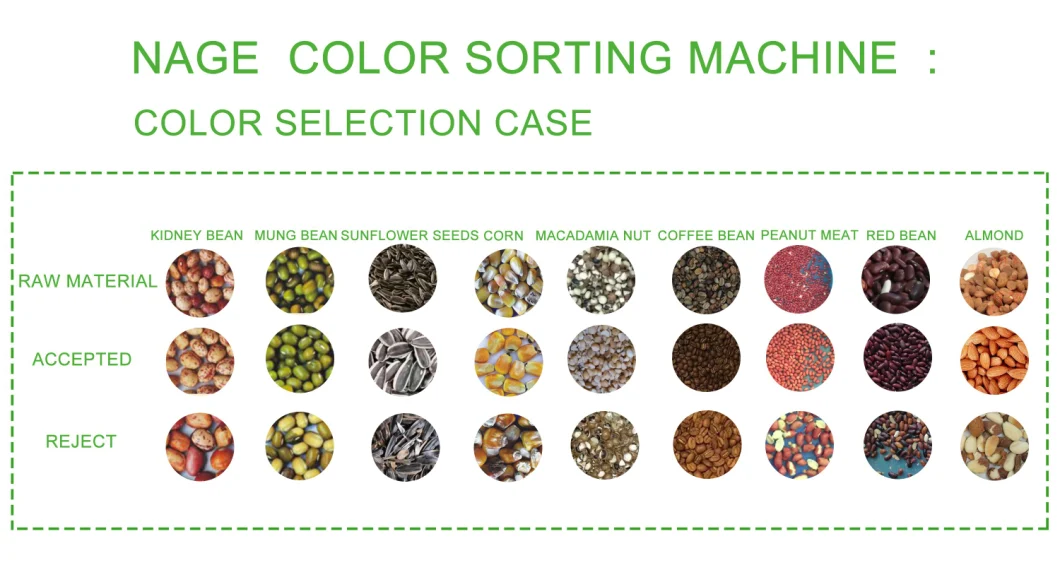 Large Capacity Optical CCD Corn Color Sorter Colour Sorting Machine