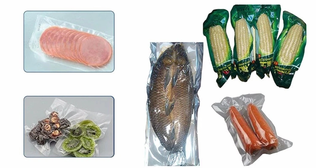 Dz-400 2sb Tea Bag Food Vegetable Dry Fish Packaging Machinery