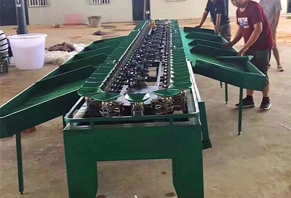 Digital Weighing Scale Machine for Vegetable Sorting Grading Process Conveyor Belt Weight Sorting Machine