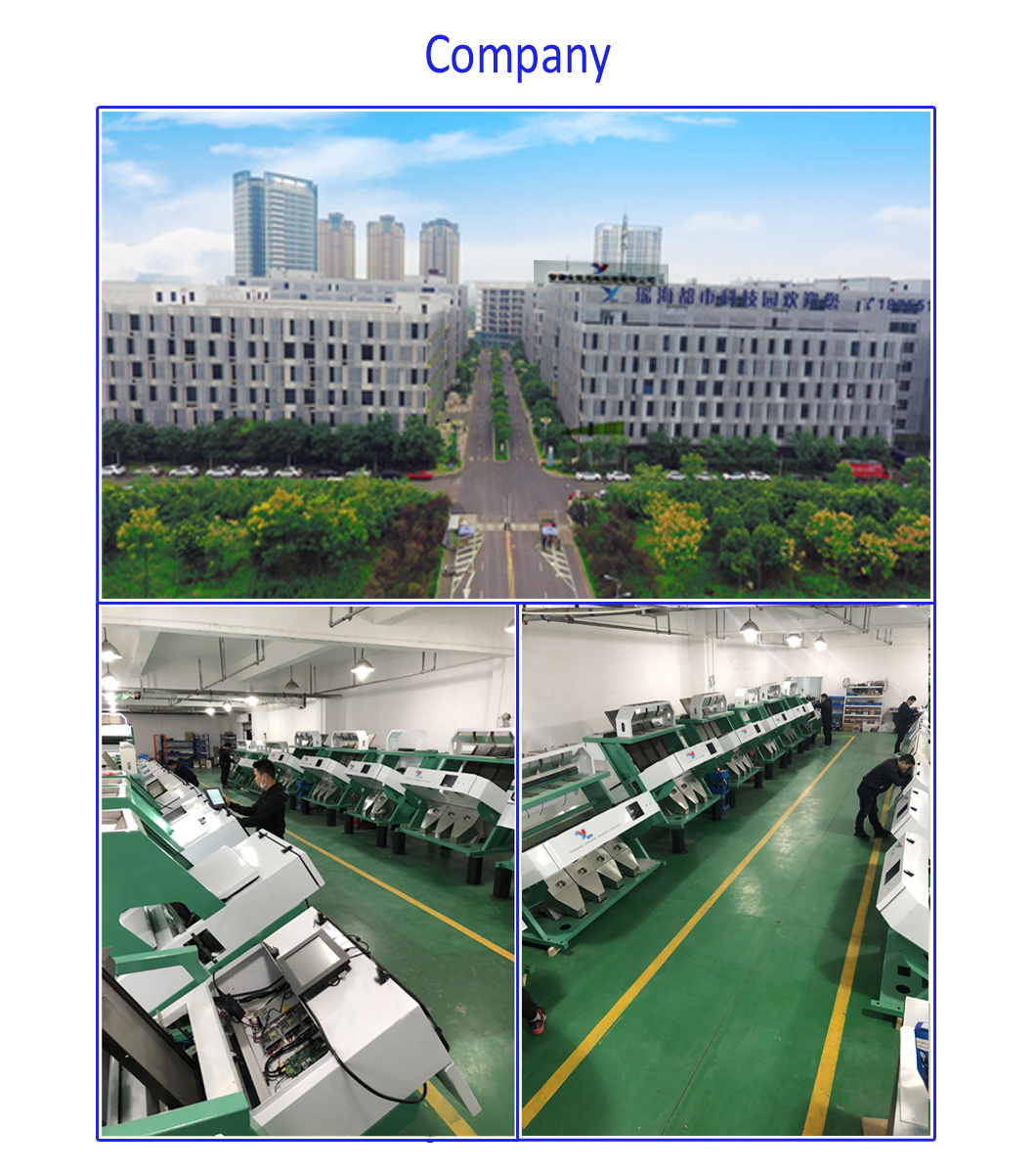 4 Chutes Shape Selection Plus Color Selection Black Tea Green Tea Oolong Tea Color Sorter
