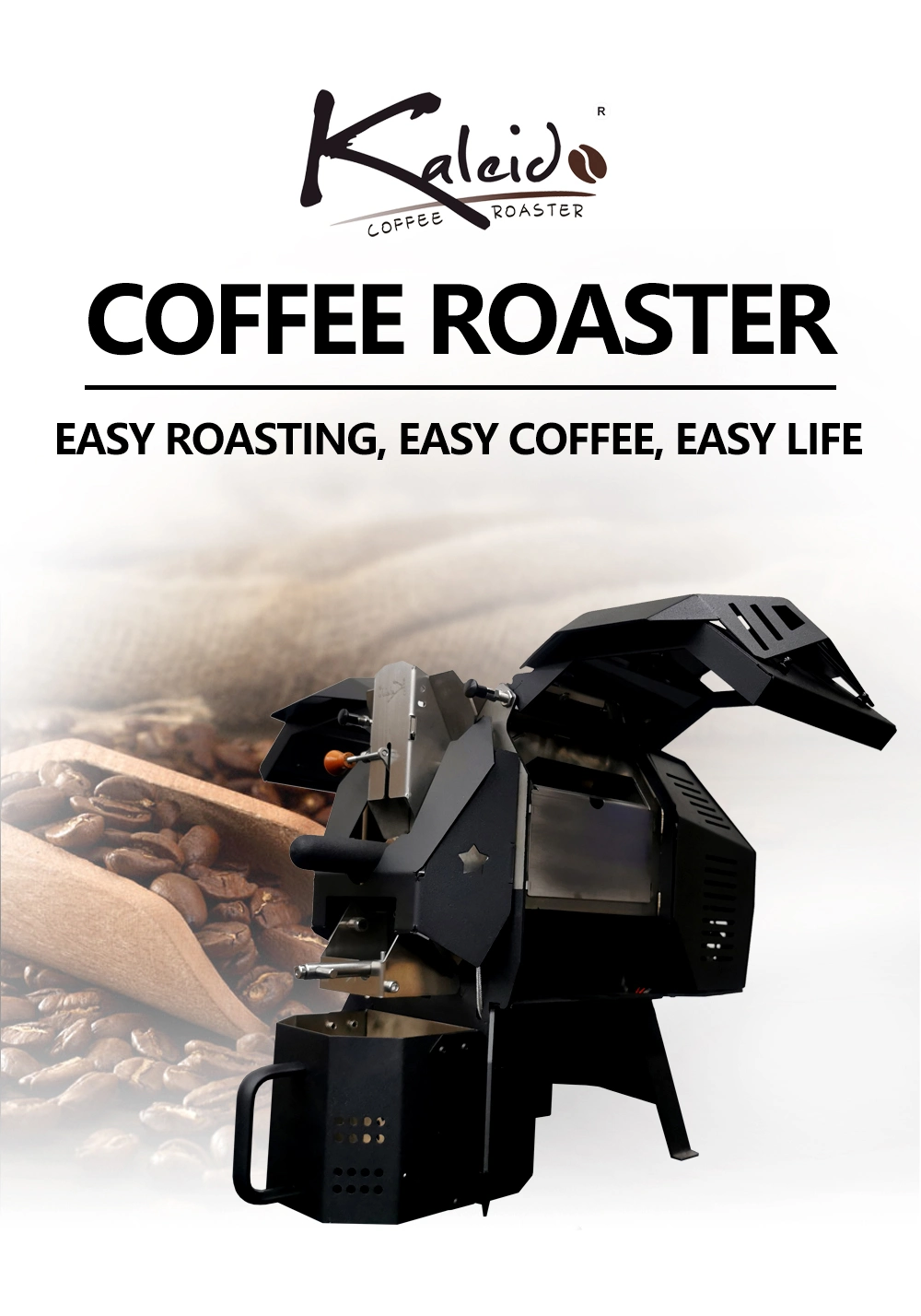 Small Coffee Air Fast Roaster Coffee Beans Roaster with Double Heating Tube