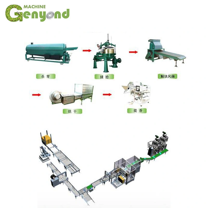 Black Green Leaf Tea Processing Line