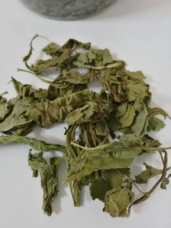 Organic Health Herbal Flower Tea Dried Mint Leaf Tea