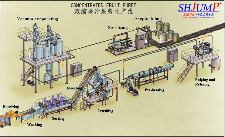 Mango Drinking Juice Processing Plant/Mango Processing Machine