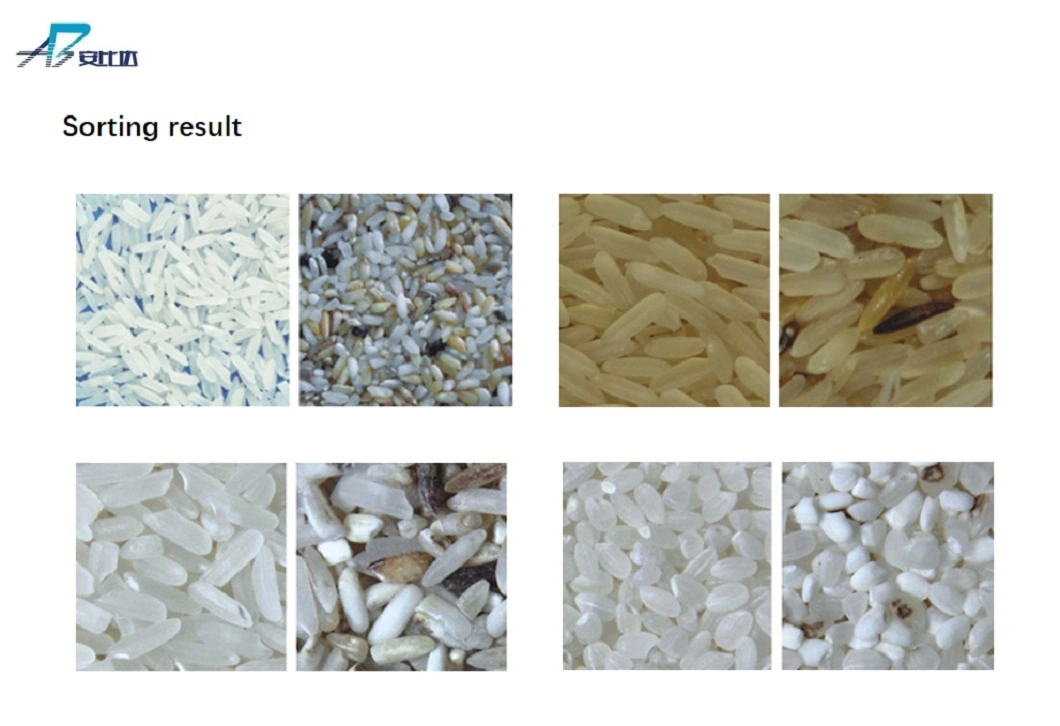Color Sorter Manufacturer 10 Chutes Rice Color Sorter Multifunctional for Tea Herb Color Sorting