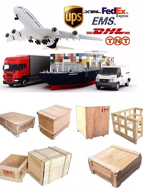 Pharmaceutical Horizontal Automatic Carton Packing Machine Cartoning Box Manufacturing Machines Made in China