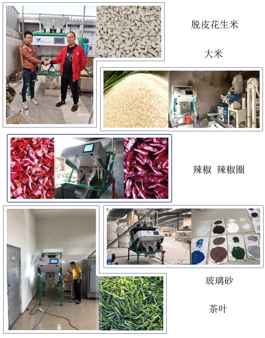 Green Tea Jiangsu Biluochun Tea Color Sorter for China