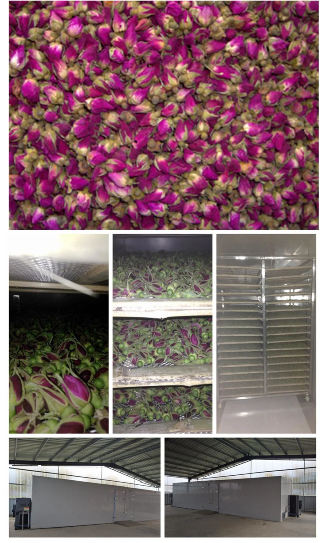 Guangzhou Kinkai Tobacco Leaf / Roses / Tea Heat Pump Dryer