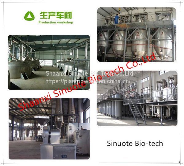 China Manufactures Supply Green Tea Extract Green Tea Polyphenols 80%