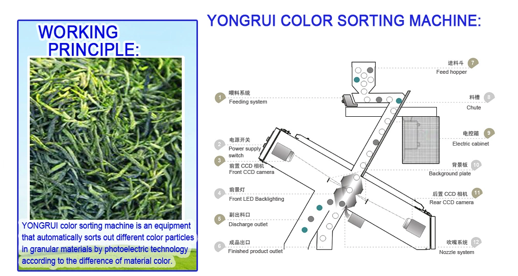 3 Chutes Green Tea Huangshan Maofeng Tea Color Sorter for China
