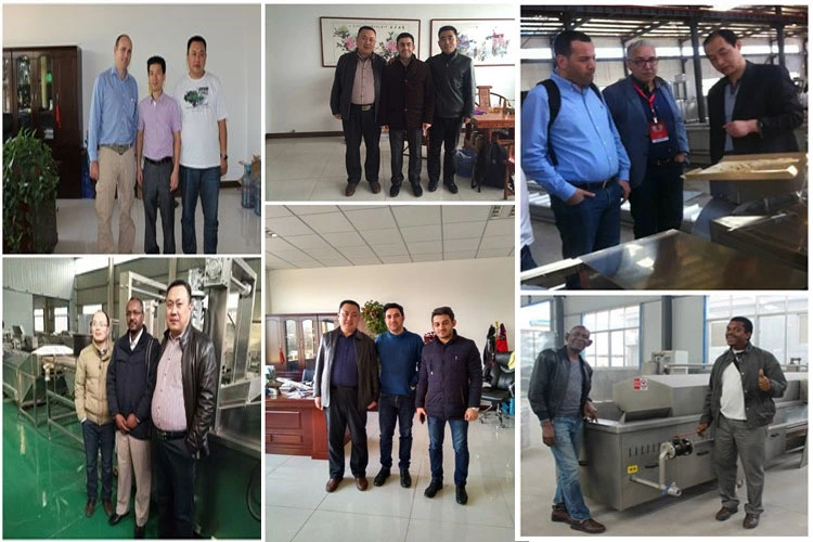 Hot Air Circulating Vegetable Dryer Machine/Fruits and Vegetables Processing Dryer
