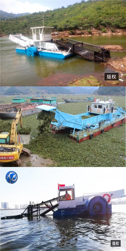 China Factory Aquatic / Seaweed / Lavender / Weed Harvester for Sale