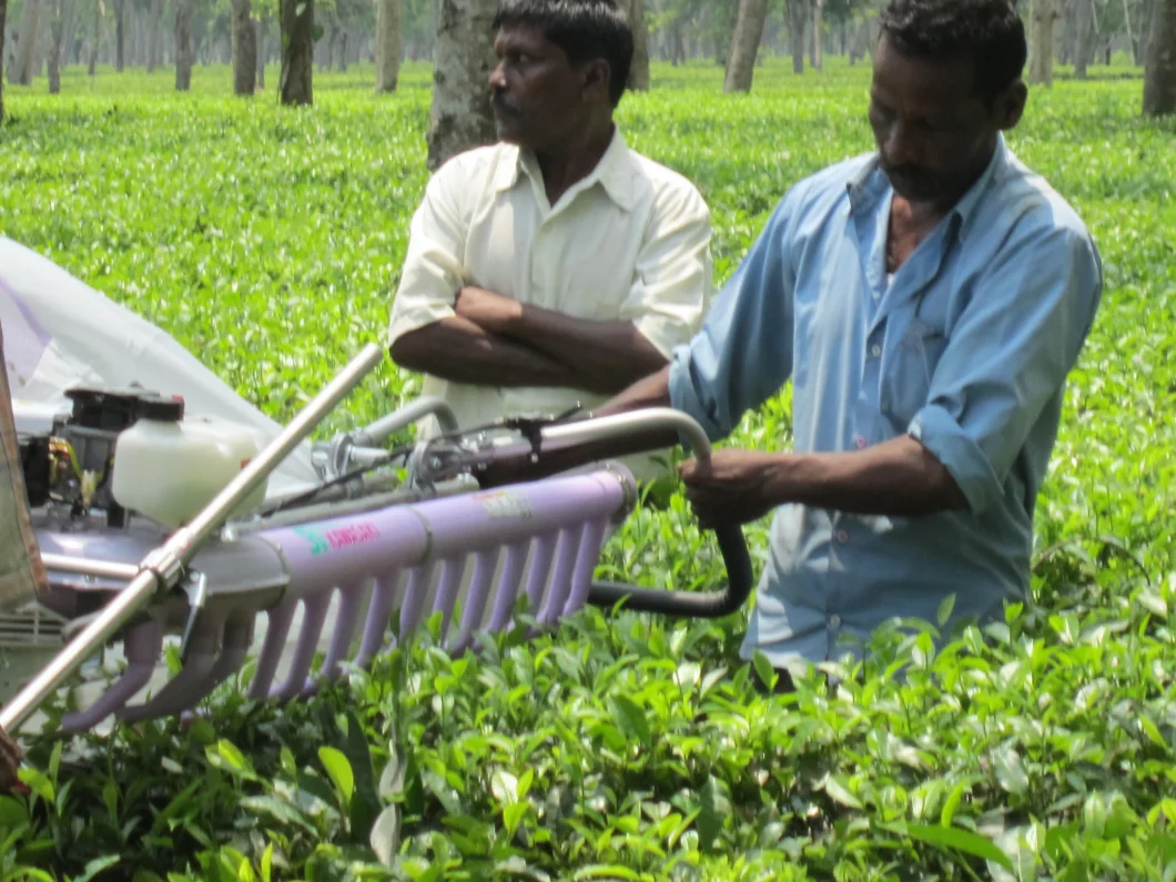 1000mm Light-Weight 2021 New Product Tea Harvesting Machine Sv100