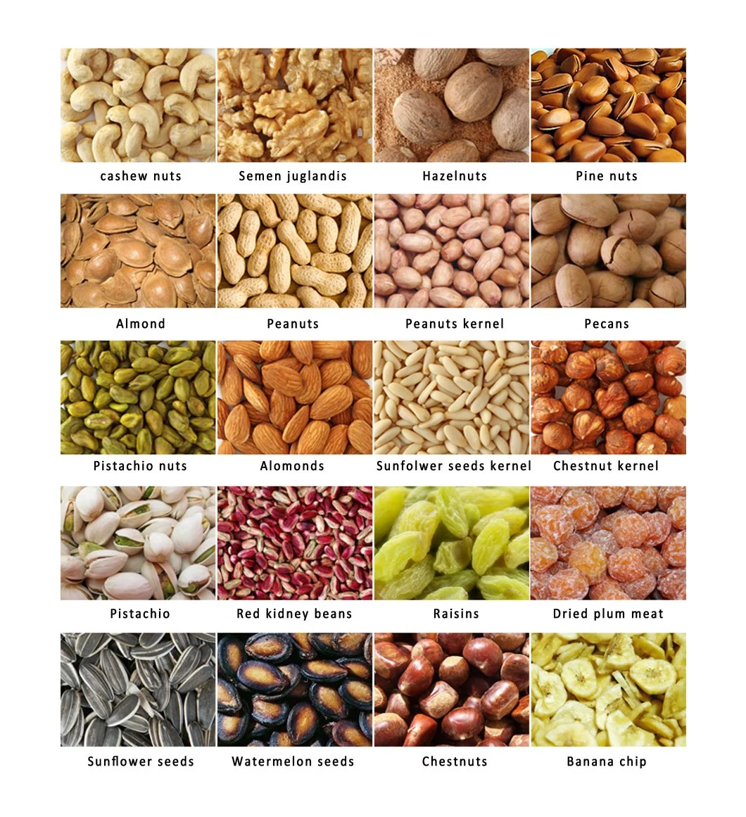 Nuts Color Sorter Nuts Sorting Machinery Nuts Processing Machine