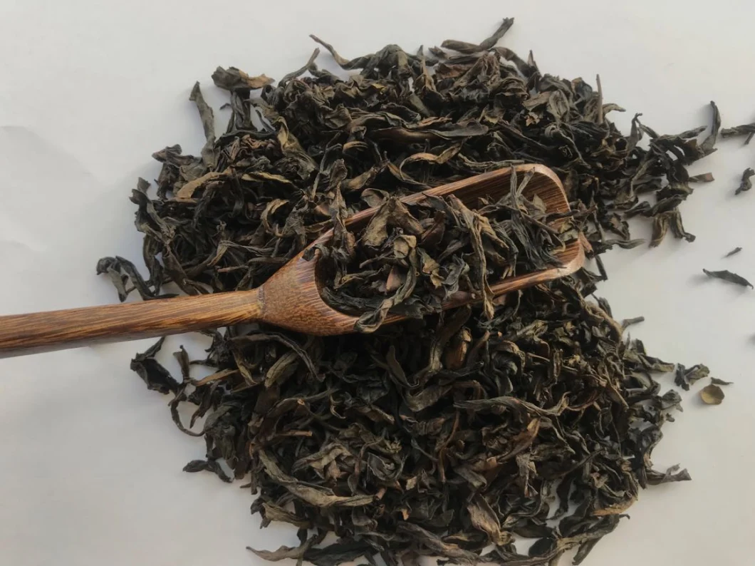 Chinese Famous Premium Oolong Tea Roasted Da Hong Pao Oolong Tea