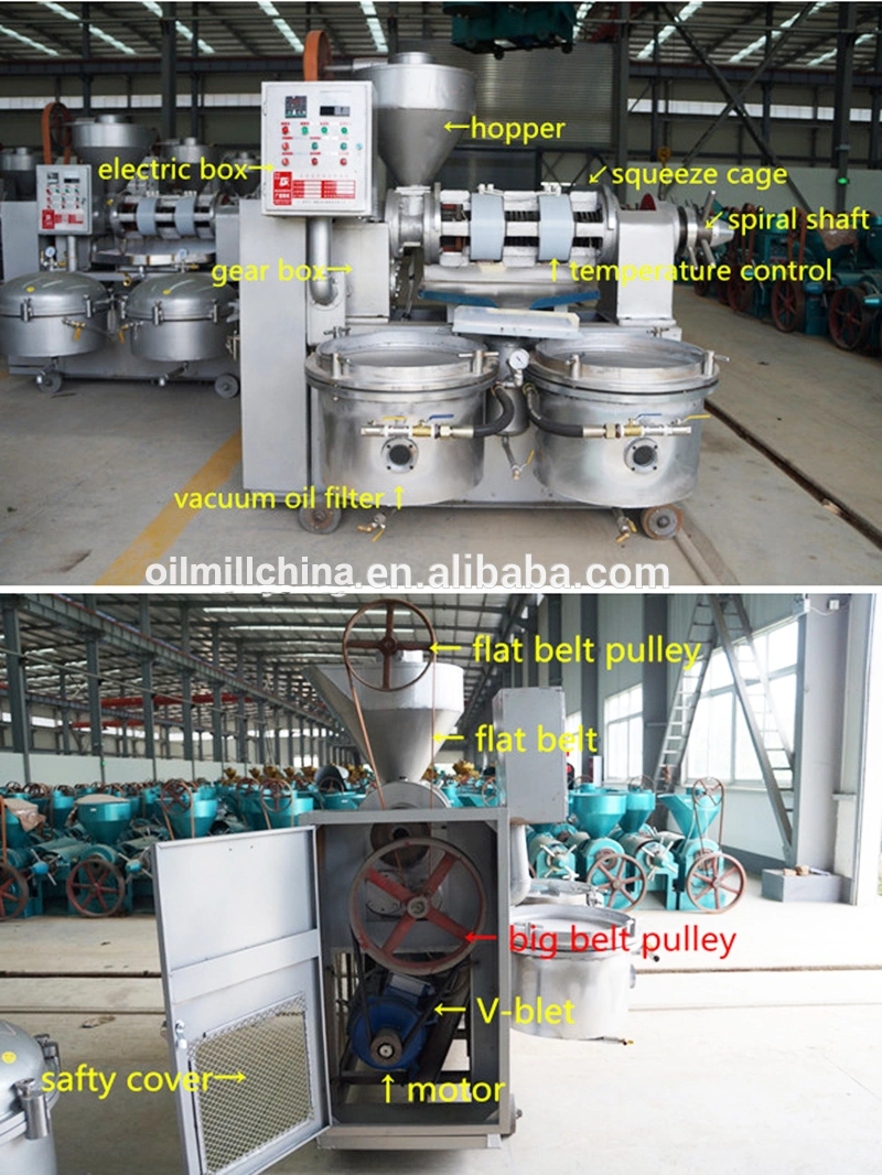 Rapeseed/Tea Seed/Groundnut Oil Extraction Machinery with Vacuum Filter