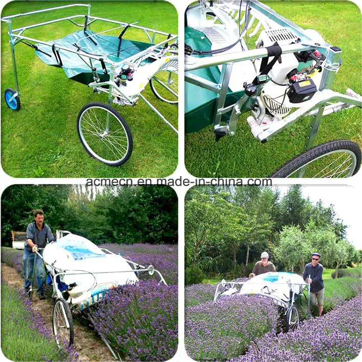 New Type Flower Harvesting Machine Lavender Harvester for Sale
