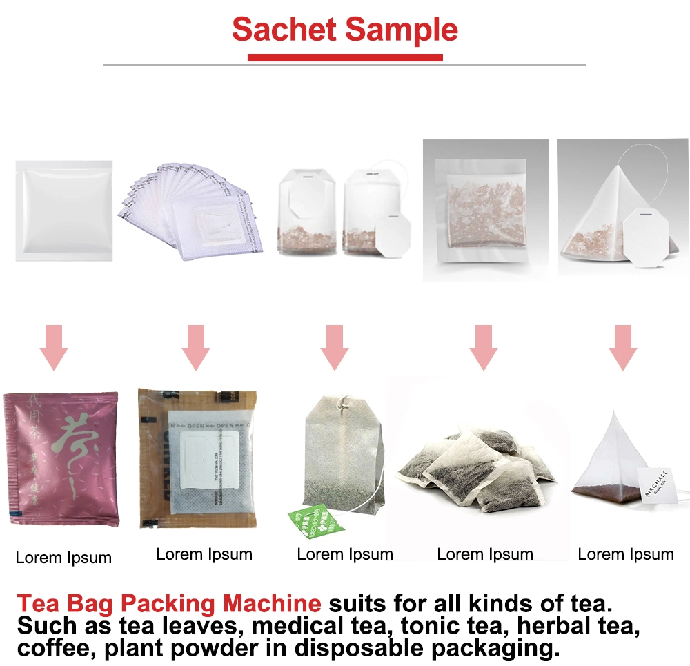 Bg The Lowest Price High Speed Pyramid Tea Bag with Outer Envelop Packing Machine