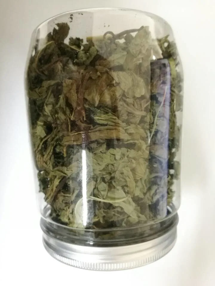 Organic Health Herbal Flower Tea Dried Mint Leaf Tea